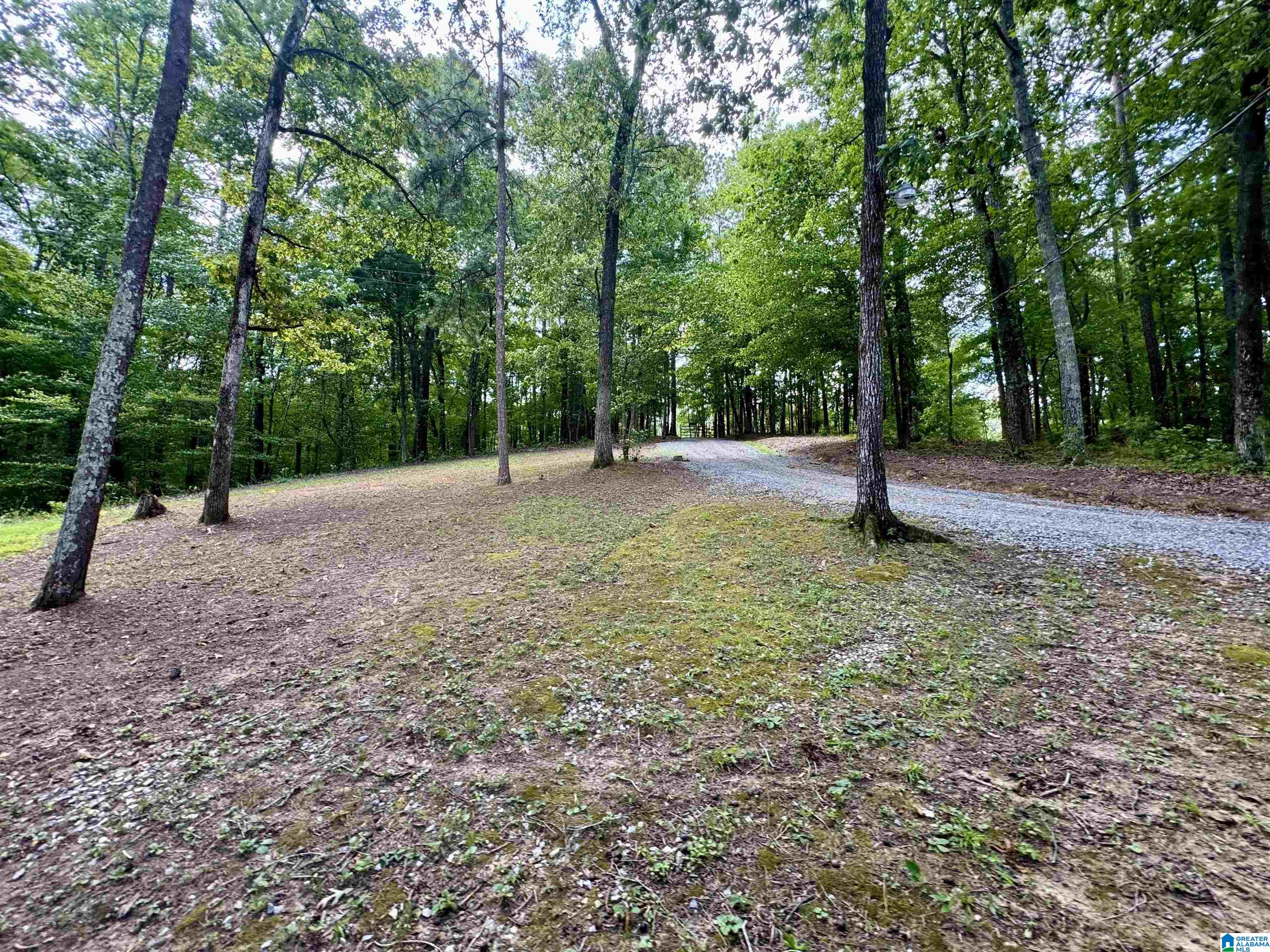 42 Two Stone Trail Sylacauga, AL 35151 - Photo 28 of 43