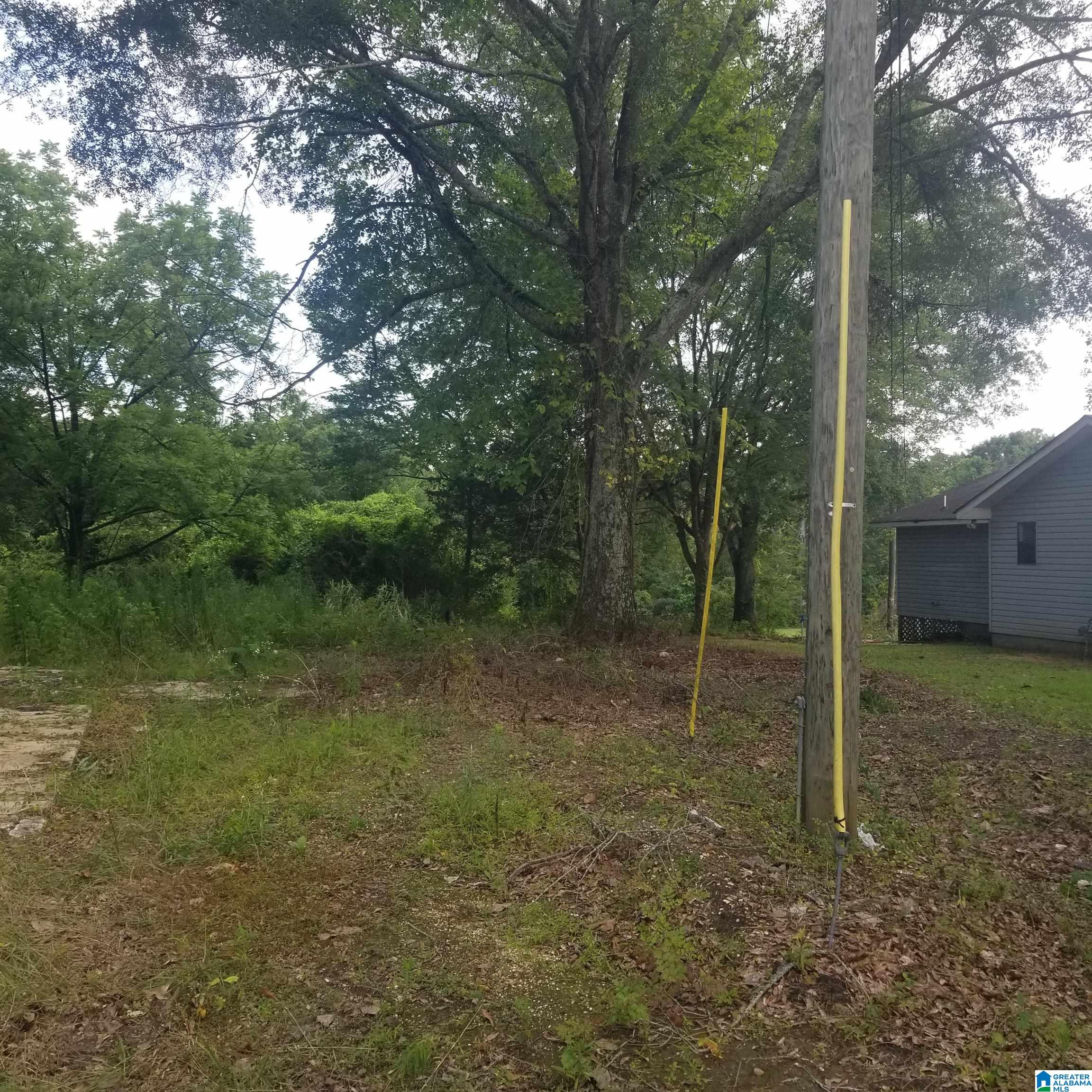 11284 Us Highway Riverside, AL 35135 - Photo 17 of 20