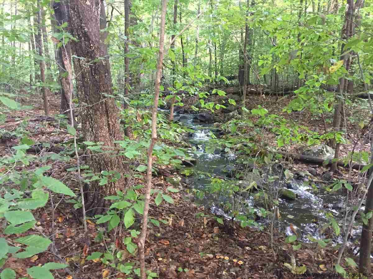 Tbd Patura Road Wallkill, NY 12589 - Photo 1 of 9 a plant view in yard