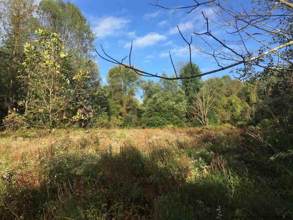 Tbd Patura Road Wallkill, NY 12589 - Photo 3 of 9 a view of a yard
