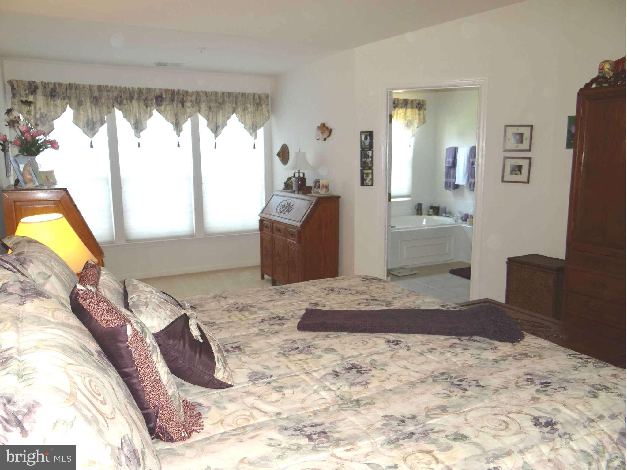 4629 Ripley Manor Terrace Olney, MD 20832 - Photo 24 of 27 Master Bedroom second view