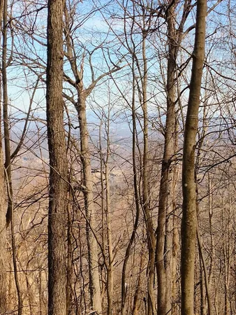 $149,000 | 0 Bent Mountain Road, Bent Mountain, VA 24059