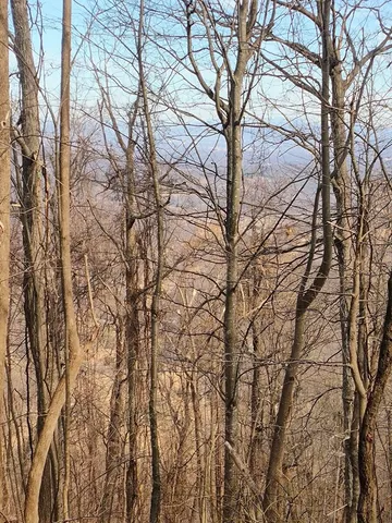 $149,900 | 0 Bent Mountain Road, Bent Mountain, VA 24059