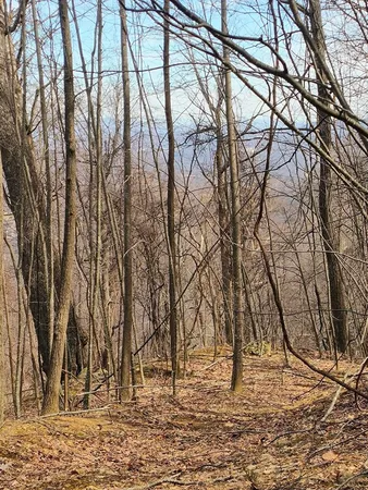 $149,000 | 0 Bent Mountain Road, Bent Mountain, VA 24059