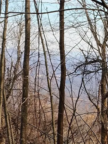 $149,900 | 0 Bent Mountain Road, Bent Mountain, VA 24059