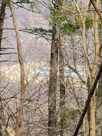 $149,000 | 0 Bent Mountain Road, Bent Mountain, VA 24059