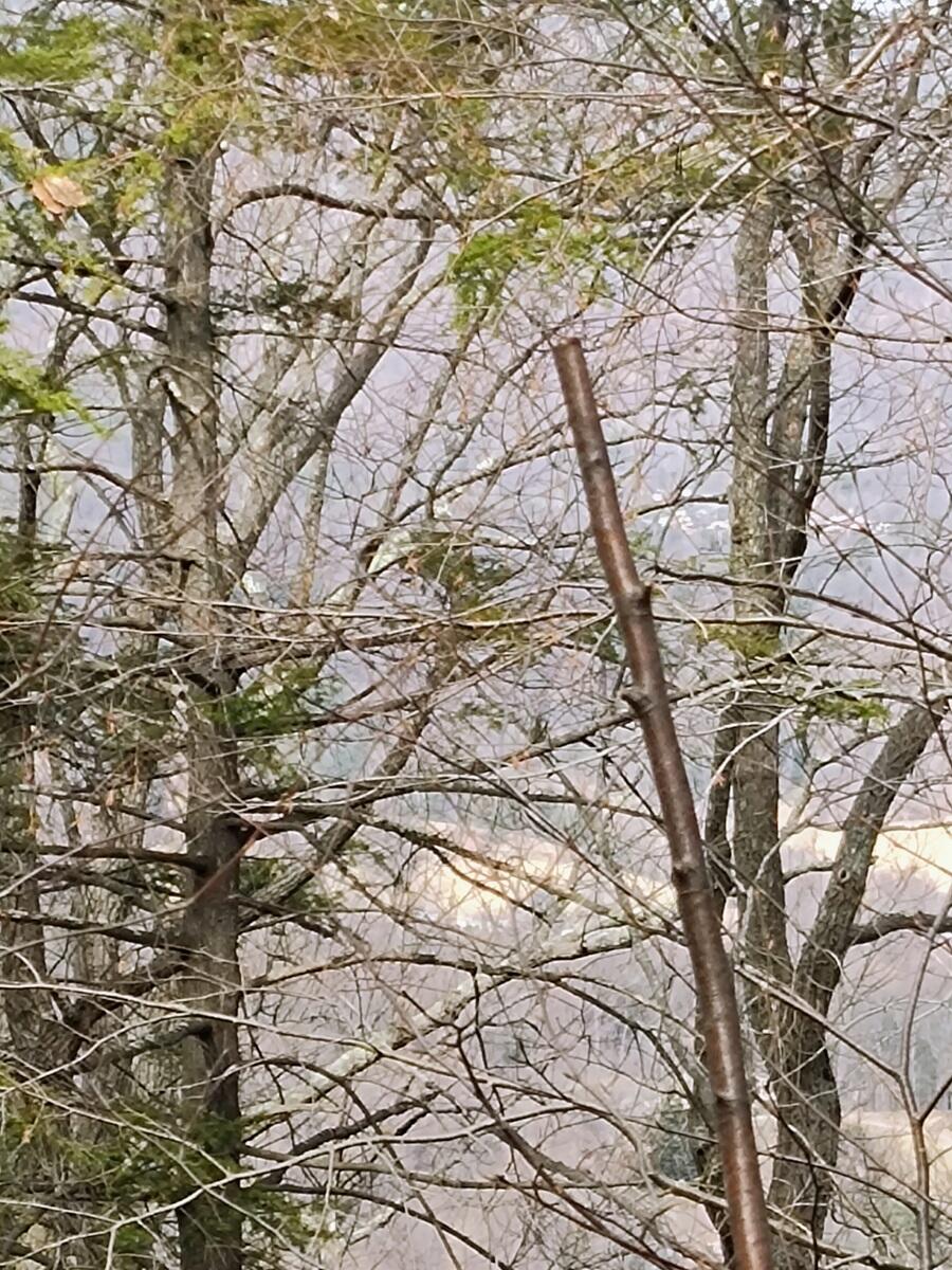 0 Bent Mountain Road Bent Mountain, VA 24059 - Photo 15 of 21 IMG_20250226_123142415_AE