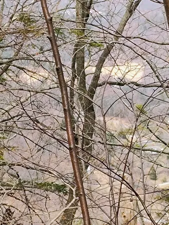 $149,000 | 0 Bent Mountain Road, Bent Mountain, VA 24059