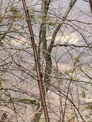 $149,900 | 0 Bent Mountain Road, Bent Mountain, VA 24059