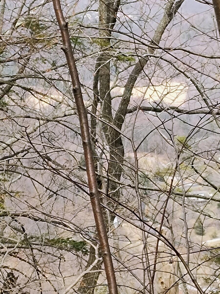 0 Bent Mountain Road Bent Mountain, VA 24059 - Photo 16 of 21 IMG_20250226_123144550_AE