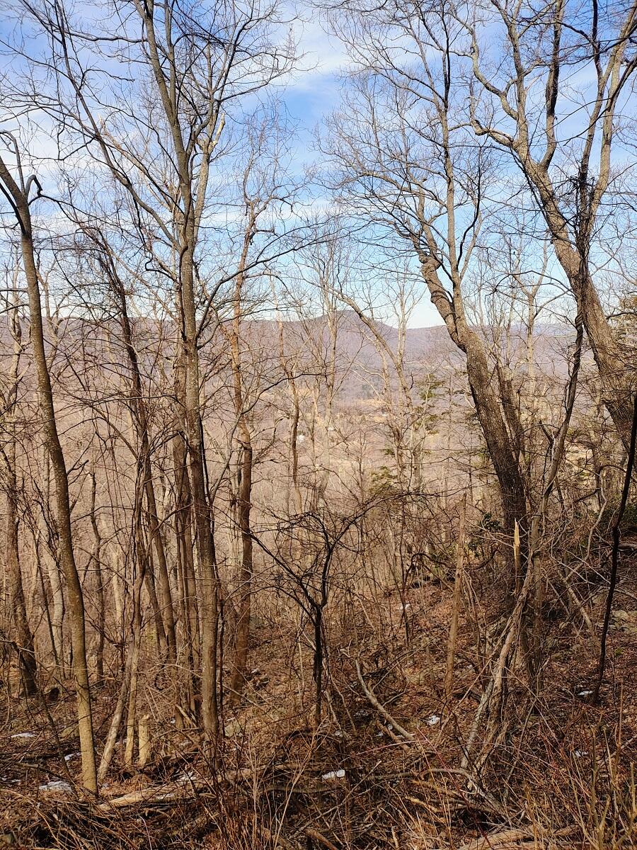 0 Bent Mountain Road Bent Mountain, VA 24059 - Photo 17 of 21 IMG_20250226_123507873_AE