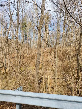 $149,000 | 0 Bent Mountain Road, Bent Mountain, VA 24059