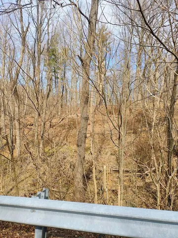 $149,900 | 0 Bent Mountain Road, Bent Mountain, VA 24059