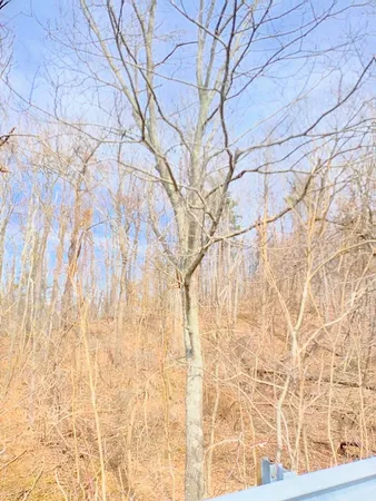 $149,000 | 0 Bent Mountain Road, Bent Mountain, VA 24059