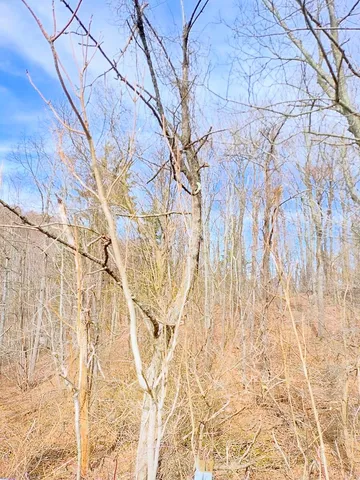 $149,900 | 0 Bent Mountain Road, Bent Mountain, VA 24059