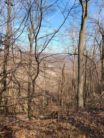 $149,000 | 0 Bent Mountain Road, Bent Mountain, VA 24059