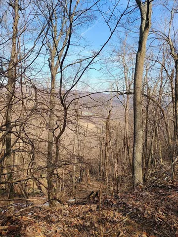 $149,900 | 0 Bent Mountain Road, Bent Mountain, VA 24059