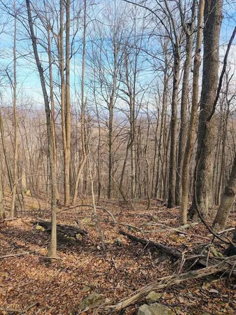 $149,000 | 0 Bent Mountain Road, Bent Mountain, VA 24059