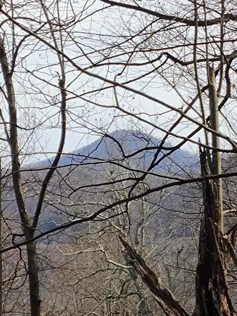 $149,000 | 0 Bent Mountain Road, Bent Mountain, VA 24059