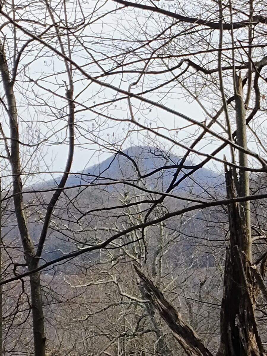 0 Bent Mountain Road Bent Mountain, VA 24059 - Photo 7 of 21 IMG_20250226_122655822_AE