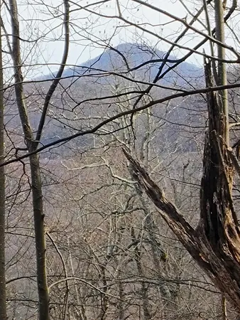 $149,000 | 0 Bent Mountain Road, Bent Mountain, VA 24059