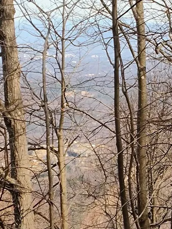 $149,000 | 0 Bent Mountain Road, Bent Mountain, VA 24059