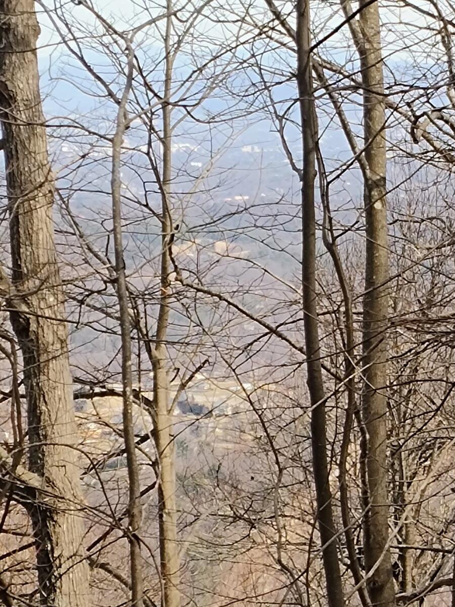 0 Bent Mountain Road Bent Mountain, VA 24059 - Photo 9 of 21 IMG_20250226_122727522_AE