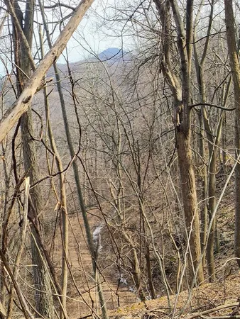 $149,000 | 0 Bent Mountain Road, Bent Mountain, VA 24059