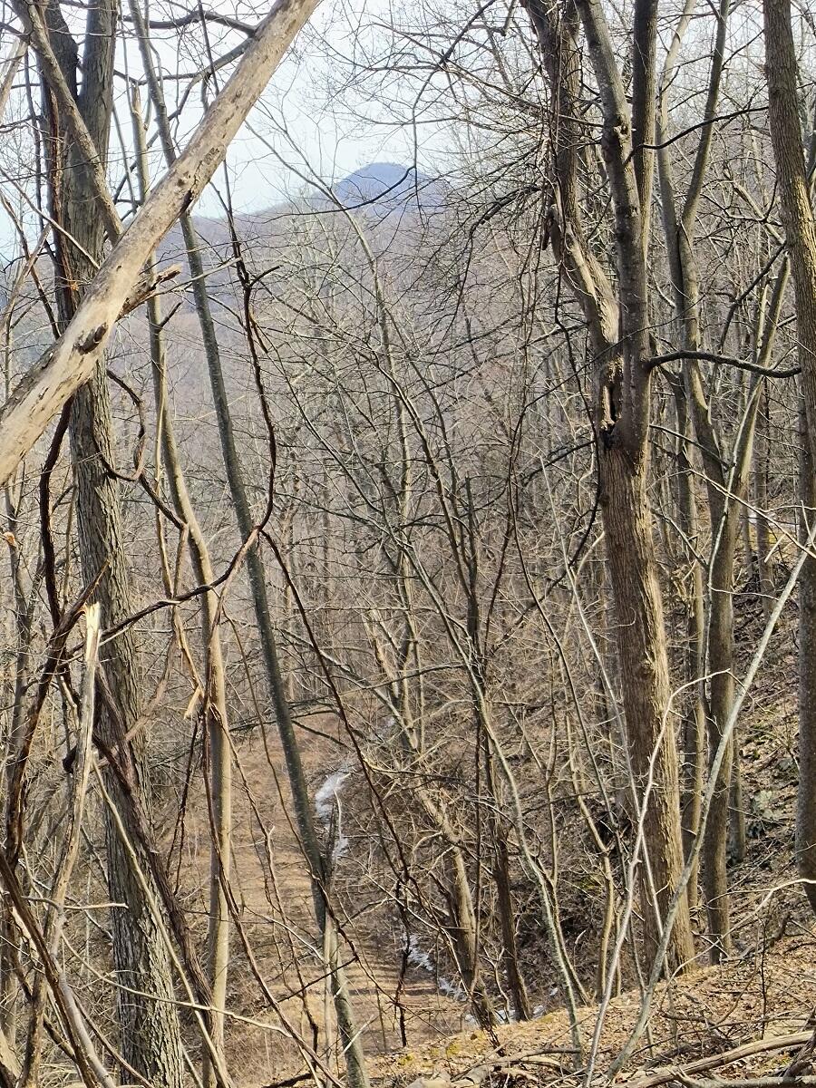 0 Bent Mountain Road Bent Mountain, VA 24059 - Photo 10 of 21 IMG_20250226_122750577_AE