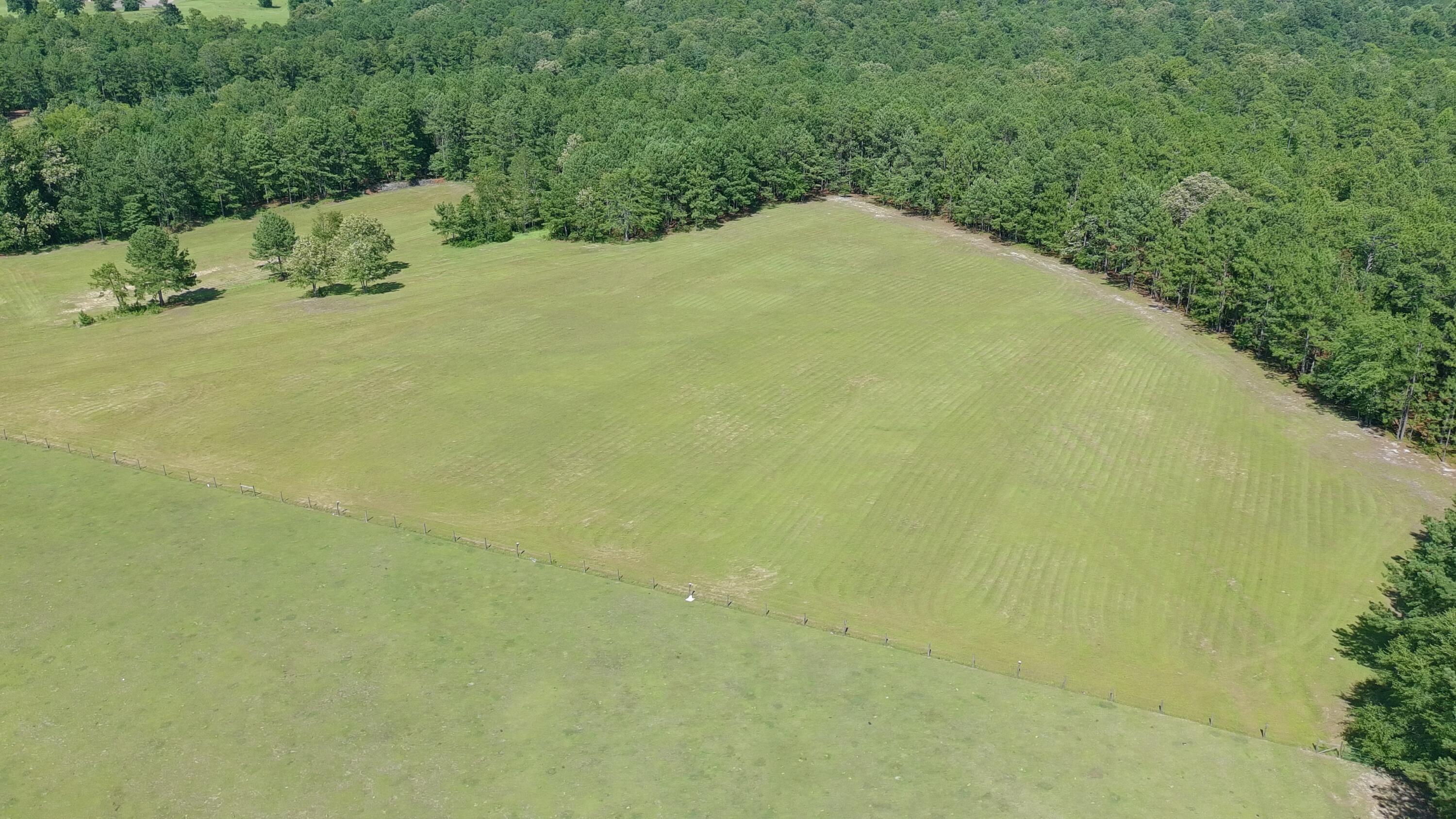 41-acres Whiskey Road Aiken, SC 29803 - Photo 13 of 44