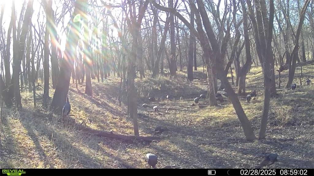 355th Street Osawatomie, KS 66064 - Photo 2 of 9