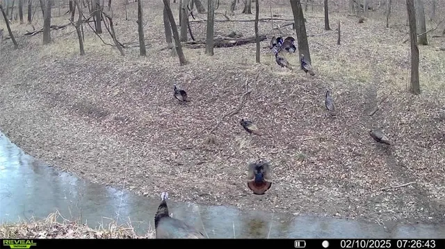 $1,100,000 | 355th Street, Osawatomie, KS 66064