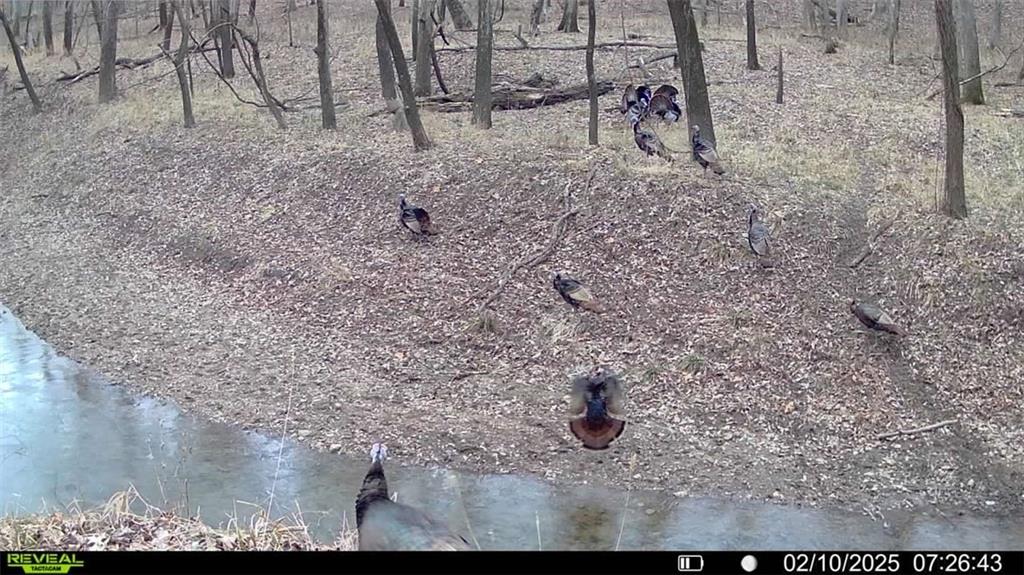 355th Street Osawatomie, KS 66064 - Photo 3 of 9