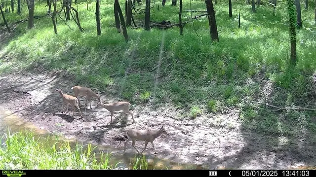 $1,100,000 | 355th Street, Osawatomie, KS 66064