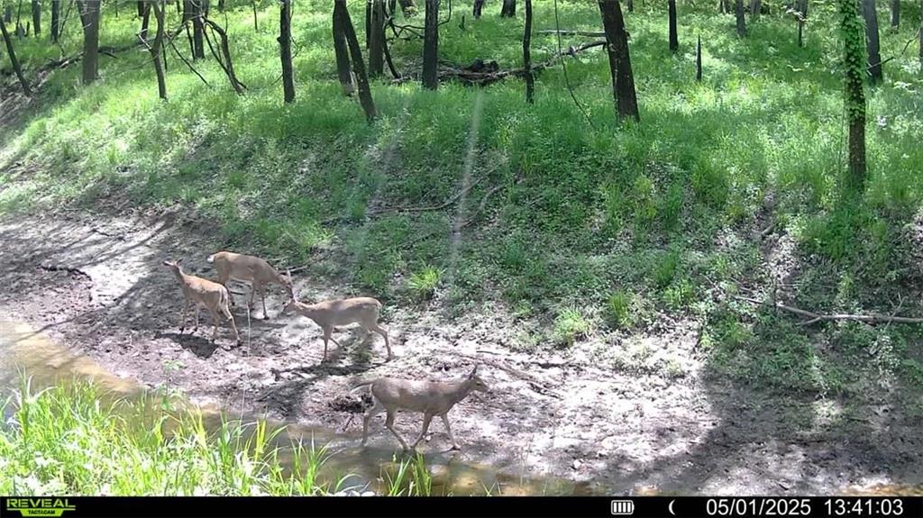 355th Street Osawatomie, KS 66064 - Photo 4 of 9