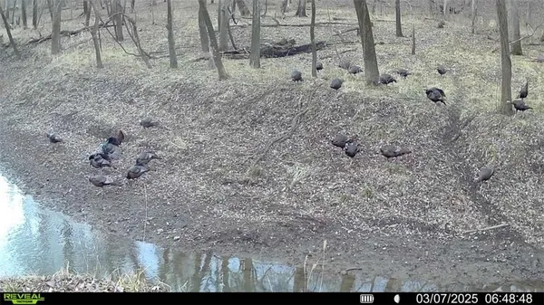 $1,100,000 | 355th Street, Osawatomie, KS 66064