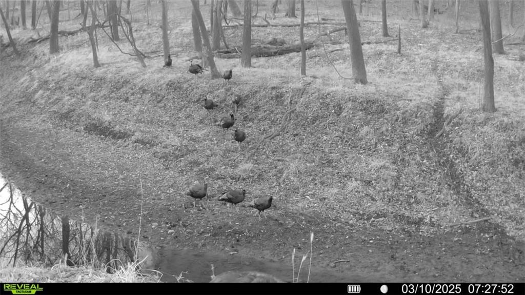 355th Street Osawatomie, KS 66064 - Photo 6 of 9