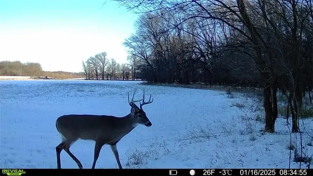 $1,100,000 | 355th Street, Osawatomie, KS 66064