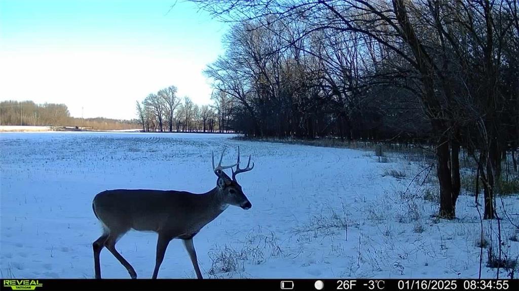 355th Street Osawatomie, KS 66064 - Photo 7 of 9