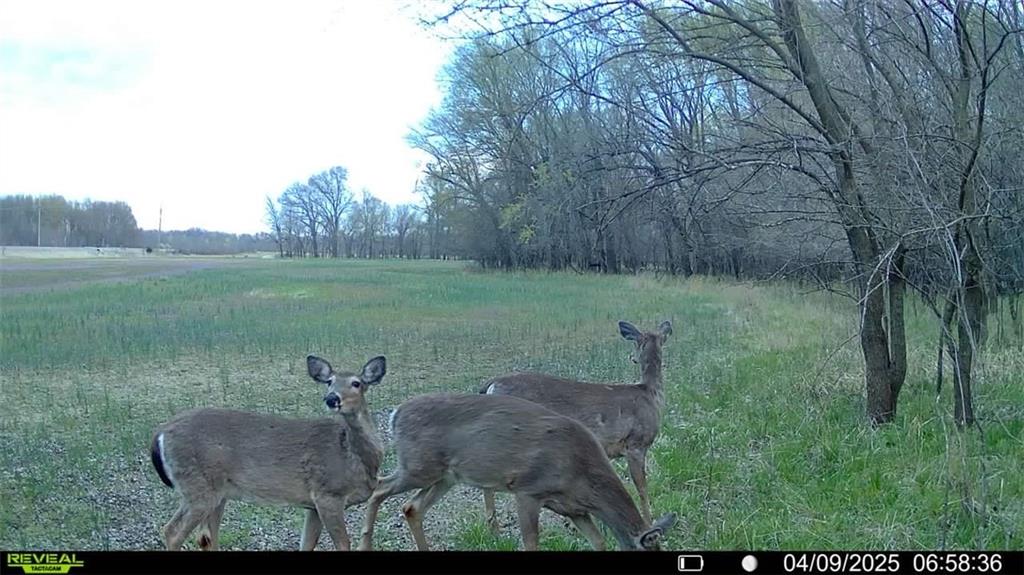 355th Street Osawatomie, KS 66064 - Photo 8 of 9