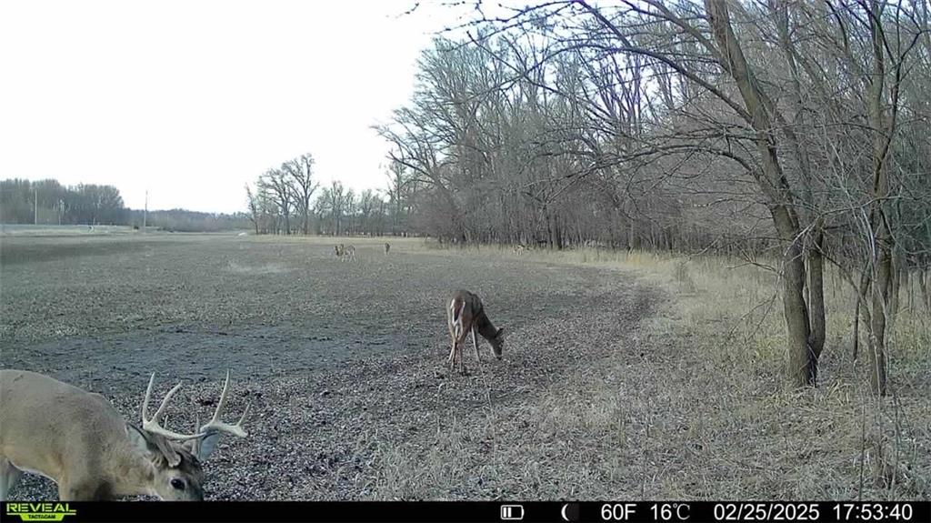355th Street Osawatomie, KS 66064 - Photo 9 of 9