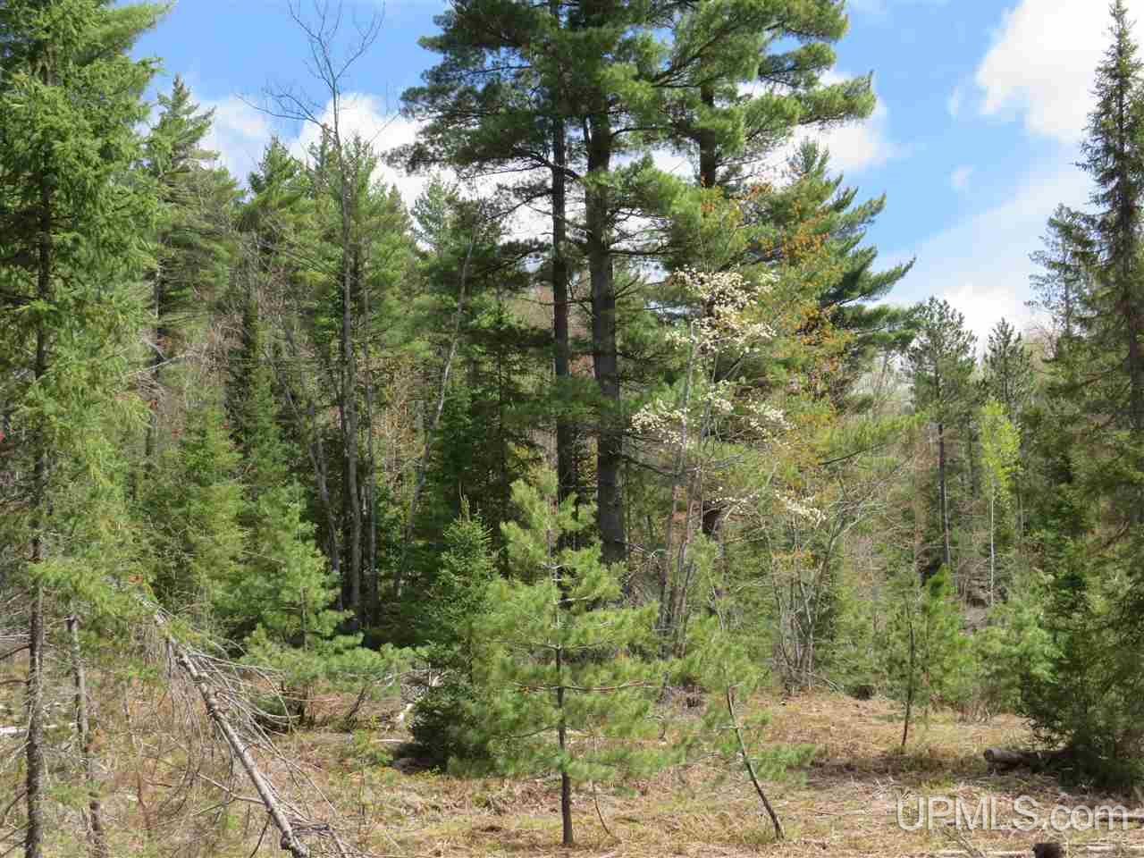 Tbd Tbd Off The Boise Route Road Negaunee, MI 49866 - Photo 8 of 45