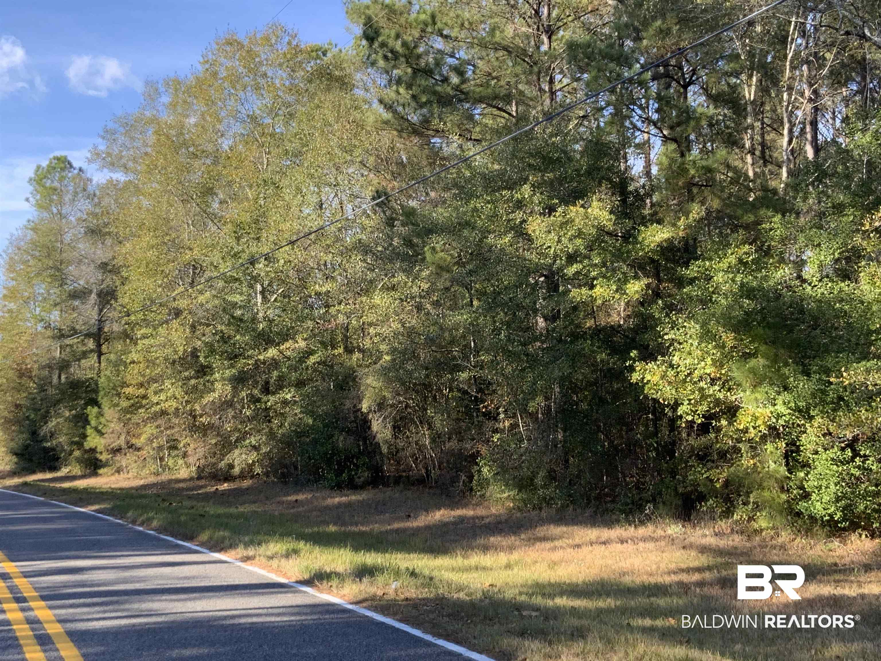 51575 Hollingsworth Road Bay Minette, AL 36507 - Photo 5 of 5 View of asphalt street with a wooded view