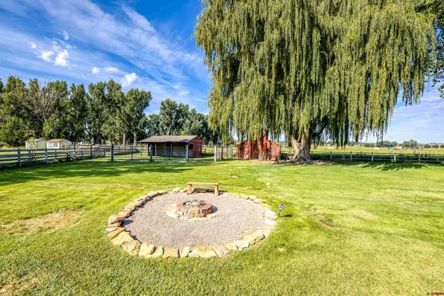 a view of a swimming pool with a garden and trees