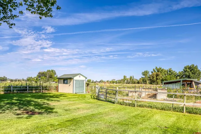 a view of yard with swimming pool and trees in the background
