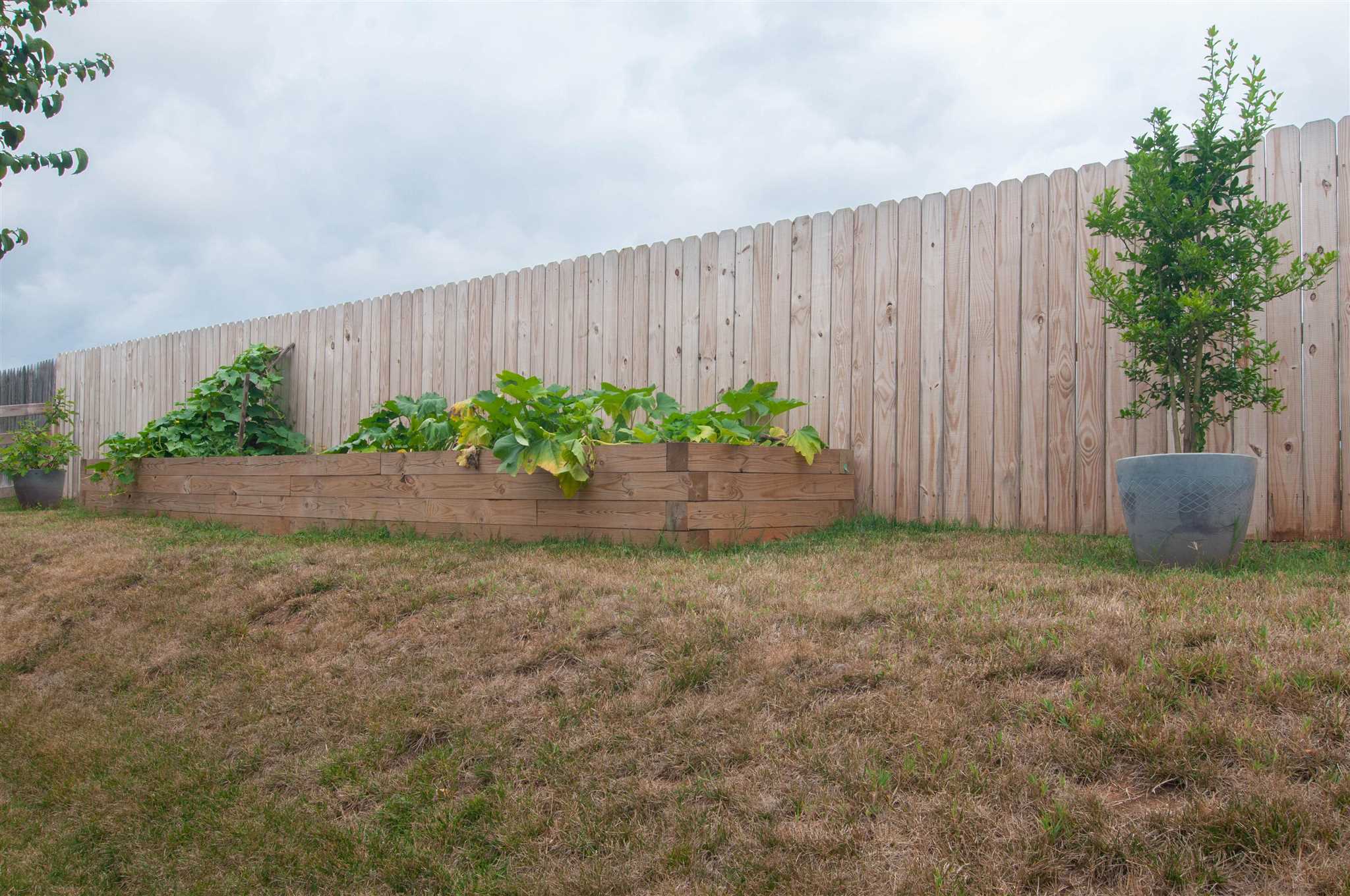 1265 Amber Ridge Road Charlottesville, VA 22901 - Photo 42 of 44 a backyard of a house