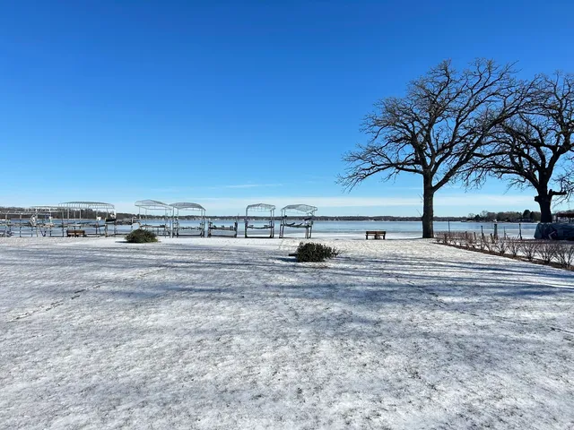 a view of a yard with an trees