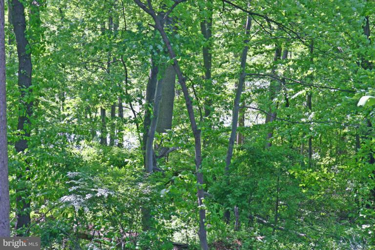 5632 Inverchapel Road Springfield, VA 22151 - Photo 7 of 30 View