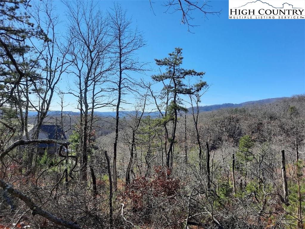Lot 28 Dugger Firetower Road Lenoir, NC 28645 - Photo 3 of 3 Gallery Image 3