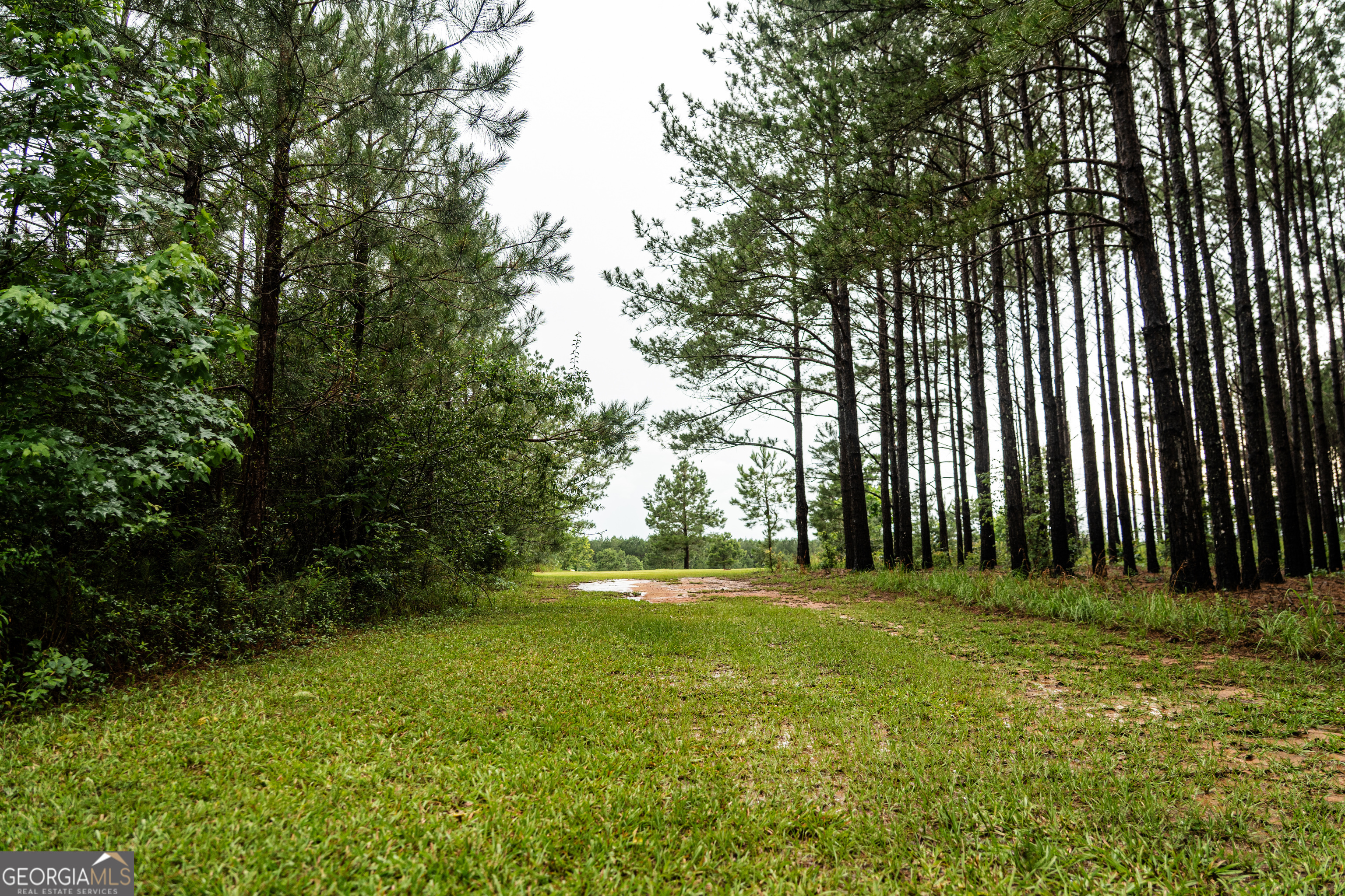 990 Highway 49 Americus, GA 31719 - Photo 26 of 121